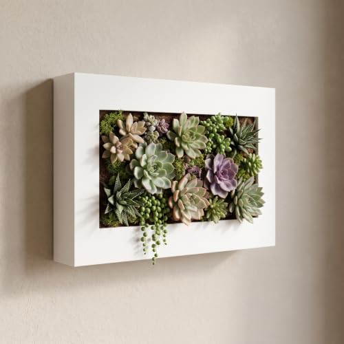 FRESH SPEED Self-Watering Wall Planters by FRESHSPEED