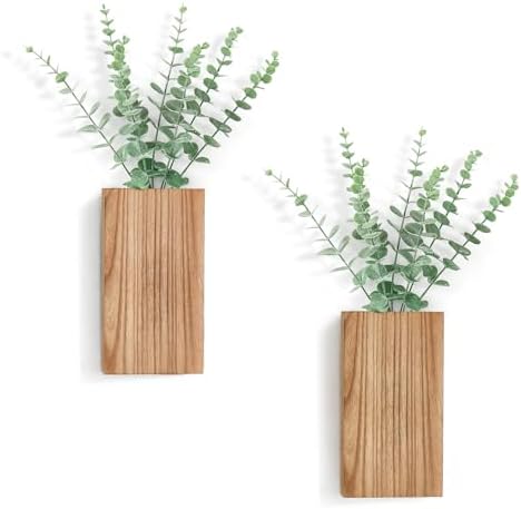 Dahey 2 Pack Wall Planter Vase by Dahey