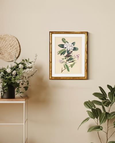 InSimSea Gold Bamboo Framed Wall Art, Vintage Bird Botanical Prints - Image 4