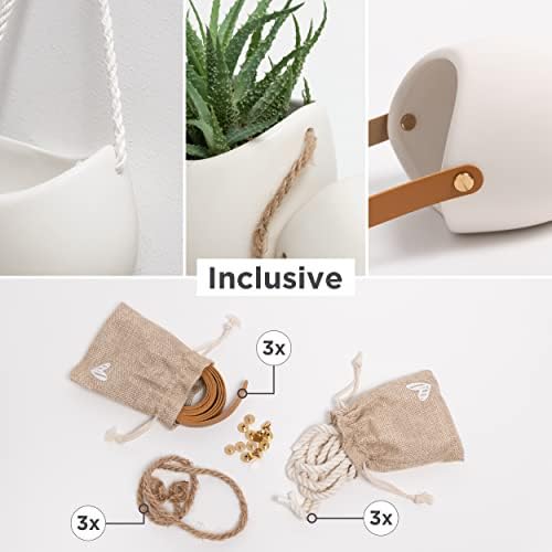 Kazai. Wall Planters -Ellie- | Hanging Ceramic Plant Pots 3 Pieces | Wall - Image 2