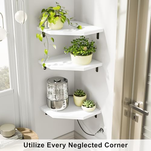 Alsonerbay Pine Wood Corner Shelves - Image 2
