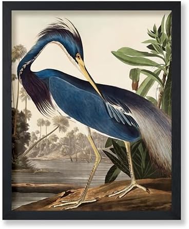 Poster Master Vintage James Audubon Poster by PosterMaster
