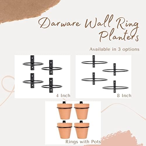 Darware Metal Wall Ring Planters - Image 7