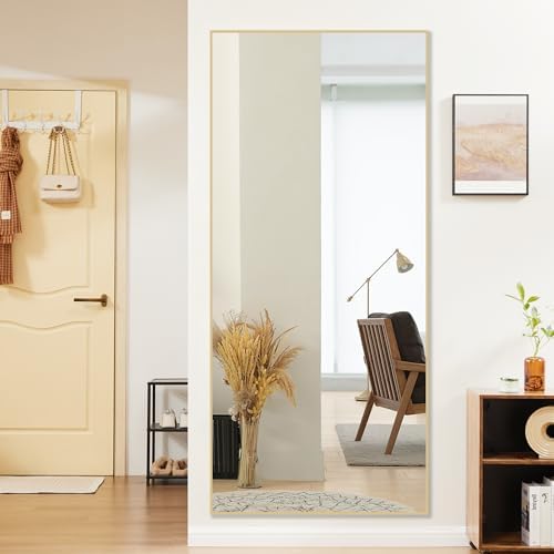 OLIXIS 64"x21.5" Full Length Mirror by OLIXIS