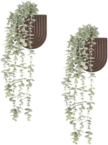 Dahey 2 Pack Wall Planter Vase by Dahey