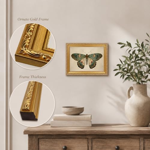 Vintage Butterfly Wall Art, 9x11 in - Image 4