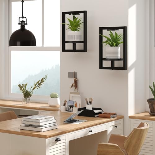 BAOYOUNI 2 Pack Wall Plant Shelf - Image 2