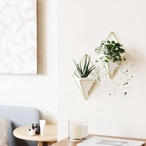 Umbra Trigg Hanging Planter for Small Plants - Image 2