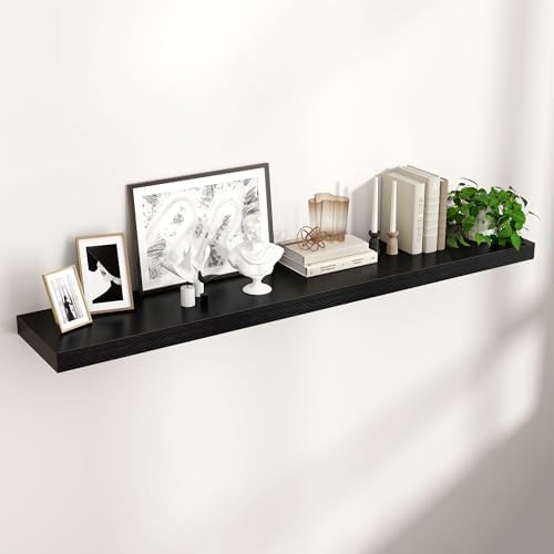 55" Wide x 10" Deep Floating Shelves by Venusmiles