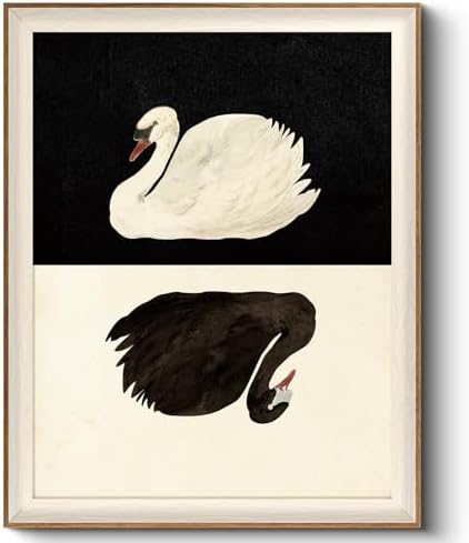 VIYYIEA Framed Vintage Swan Canvas Wall Art by VIYYIEAART