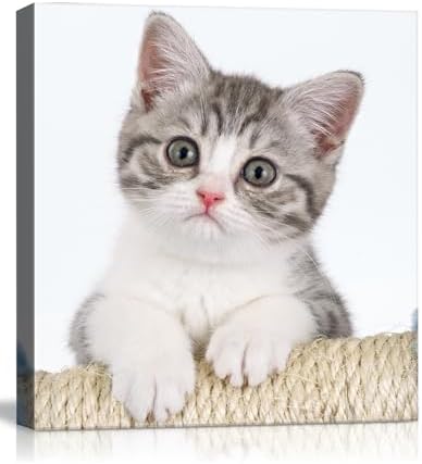 Canvas Prints with Your Photos, Ship Next Day Custom Wall Art by Unknown