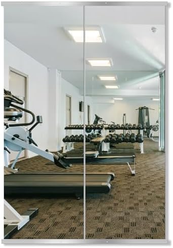 Delma Home Gym Mirror by Delma