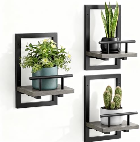 Sbosbo Floating Shelves for Wall Plant Shelf Indoor Wall Mounted Shelves by SBOSBO