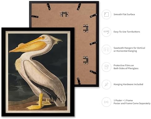 Poster Master Vintage John James Audubon Poster - Image 2