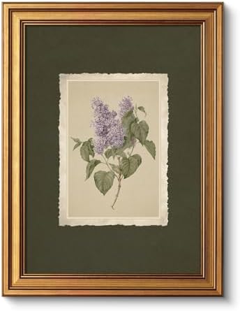 VIYYIEA Vintage Gold Framed Wall Art, Aesthetic Botanical Violet Flower Herb by VIYYIEAART