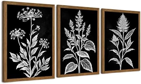 AVECCO 3 Pieces Black White Botanical Wall Art Canvas Framed 16x24 Inch by Unknown