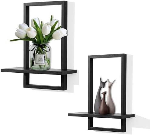 Floating Shelves for Wall, Decorative Wall Shelves Black, Plants Shelf Framed by PHOENANCEE