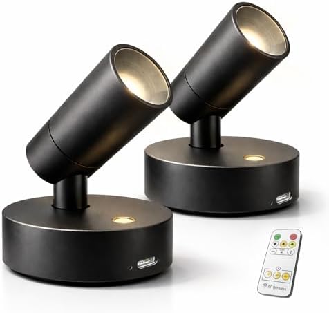 Magnetic Rechargeable Picture Light 2 Pack, Wireless Art Spotlight by Lsoppn