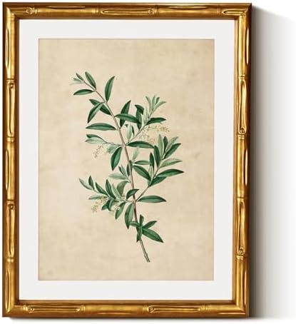 InSimSea Gold Bamboo Framed Wall Art, Vintage Olive Botanical Prints by InSimSeaArt
