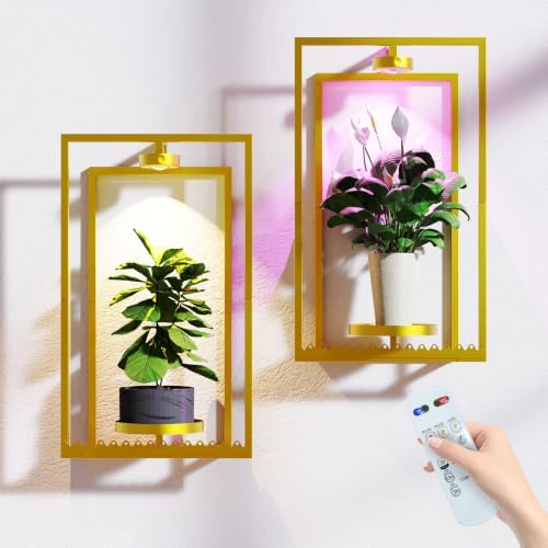 Starxing Wall Plant Shelf with Grow Lights, Remote Control Indoor Plant Holder by Starxing