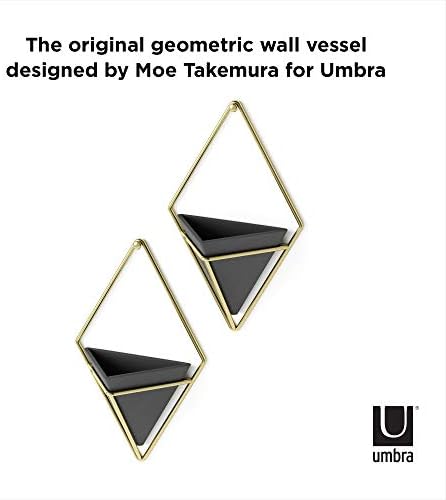 Umbra Trigg Hanging Planter for Small Plants - Image 5