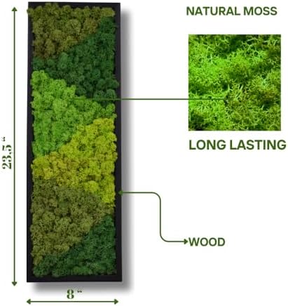 Large Moss Pattern Wall Art, Eco-Friendly Natural Green Wall Decor|Set of 2 - Image 2