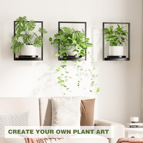 Hanging Planters for Indoor Plants - Image 4