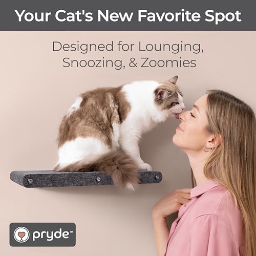 Cat Wall Shelf - Indoor & Outdoor by Pryde Pets - Image 5