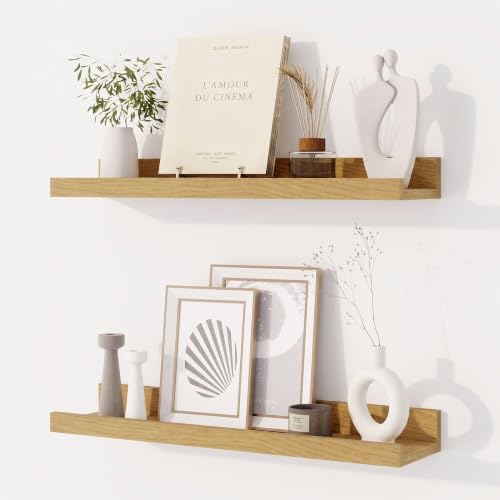 Dreamland Picture Ledge Shelf for Wall, Floating Shelves Set of 2, 20 inch Long by Dreamland