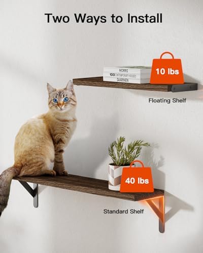 Amada Solid Paulownia Wood Wall Shelves, Large Size - Image 5
