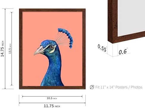 Poster Master Peacock Print - Image 3