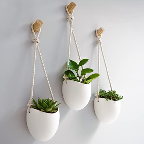 Kazai.® | Porcelain Wall Vases | 3 Piece Set | Including Wooden Hooks | Matte by KAZAI