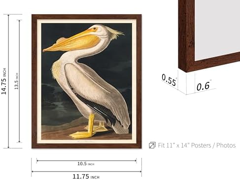 Poster Master Vintage John James Audubon Poster - Image 3