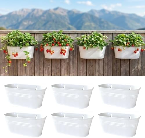 LaLaGreen Hanging Wall Planter White Metal Plant Shelf by L%C3%A1L%C3%A1Green