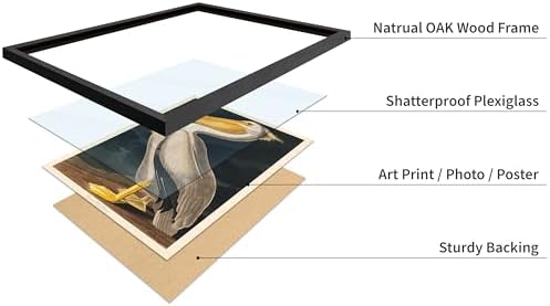 Poster Master Vintage John James Audubon Poster - Image 4
