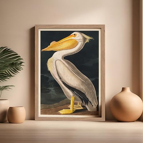 Poster Master Vintage John James Audubon Poster - Image 5