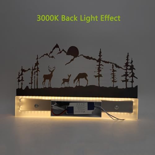 Wall Sconce lamp, LED Wall Mounted Light Indoor Wall Light - Image 5