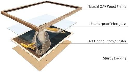 Poster Master Vintage John James Audubon Poster - Image 4