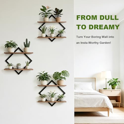 Set of 3 Floating Wall Shelves for Plants - Image 5