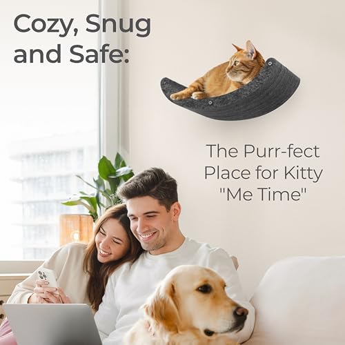 Cat Wall Shelf - Indoor & Outdoor by Pryde Pets - Image 3