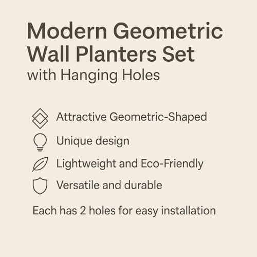 Vertical Garden Wall Planters – 2-Pack Modern Matte Black Geometric Pots - Image 4