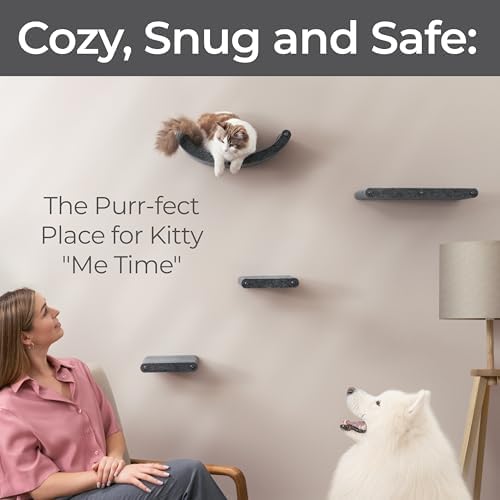 Cat Wall Shelves Set - Image 3