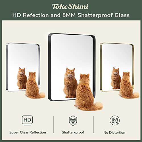 TokeShimi 60 x 36 Inch Brushed Silver Bathroom Mirror - Image 4