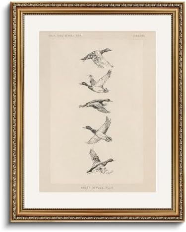 VIYYIEA Vintage Gold Framed Flying Bird Wall Art by VIYYIEAART