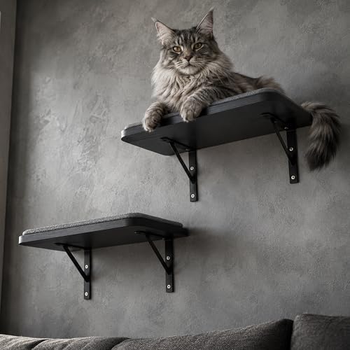 Cat Wall Shelves Set of 2, Wall-Mounted Space-Saving Climbing Bed, Lounging by PELUOMOZ