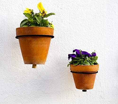 Darware Metal Wall Ring Planters - Image 2