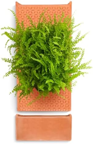 dadop Terracotta Self Watering Wall Pots by DadopDS