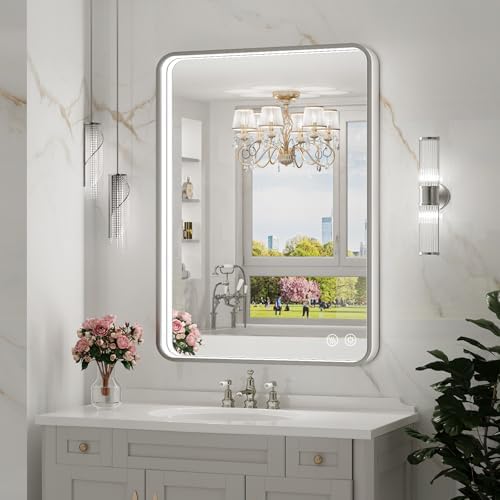 LED Bathroom Mirror with Lights, 20x28 Inch, Brushed Silver Framed by FTOTI