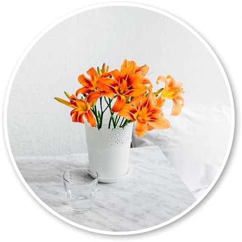Oruii Small Round Mirror, 16 inch White Circle Mirror by OruiiMirror