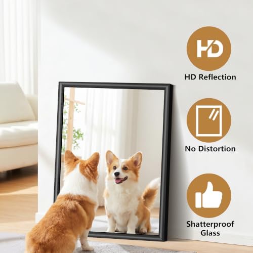 FORBATH Bathroom Mirror for Over Sink, 24x30 Inch Black Vanity Mirror - Image 4